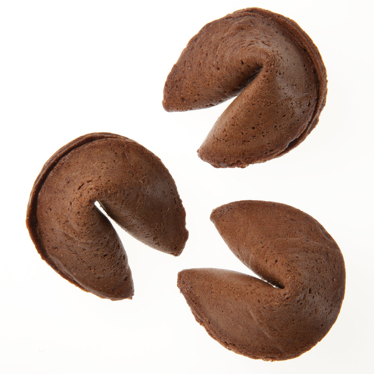 Plain Gourmet Cocoa Fortune Cookies- Single