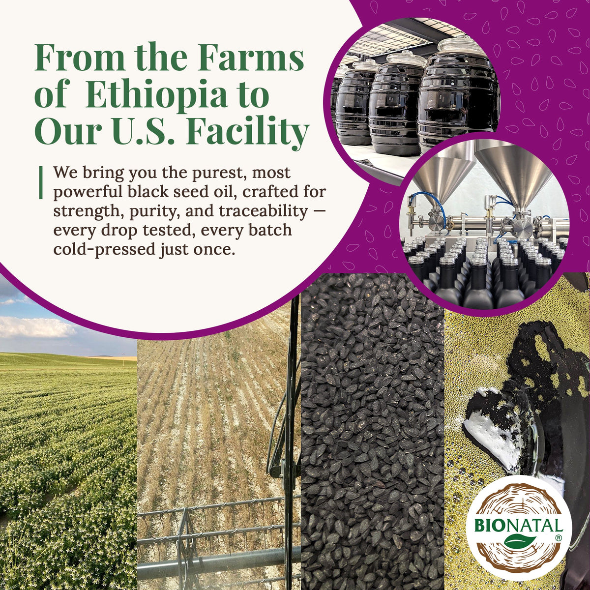 Ethiopian Black Seed Oil 16oz (GLASS)