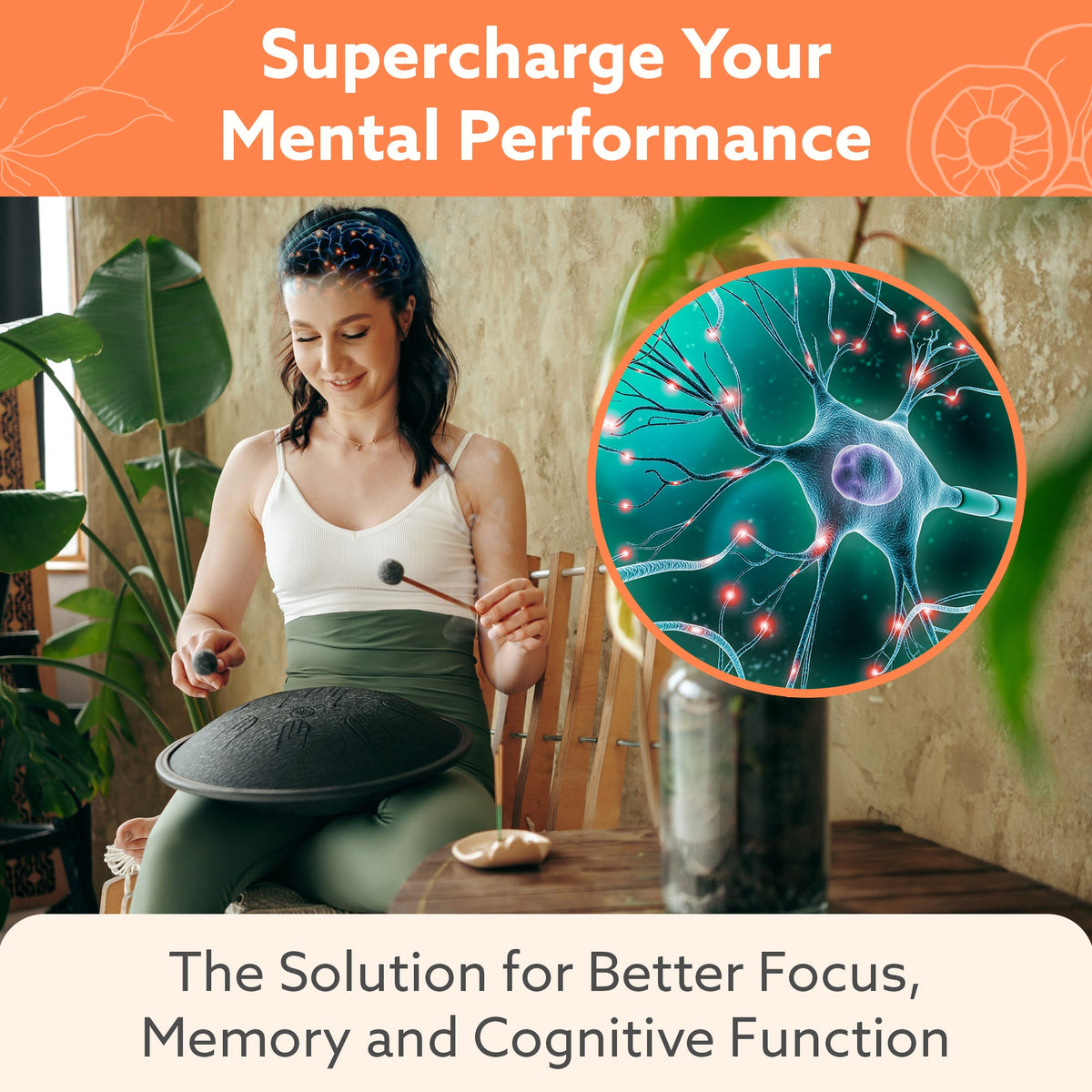 Multi-Mushroom Supplement
