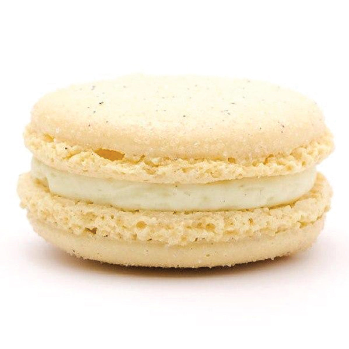 Bourbon Vanilla Macaron- Single